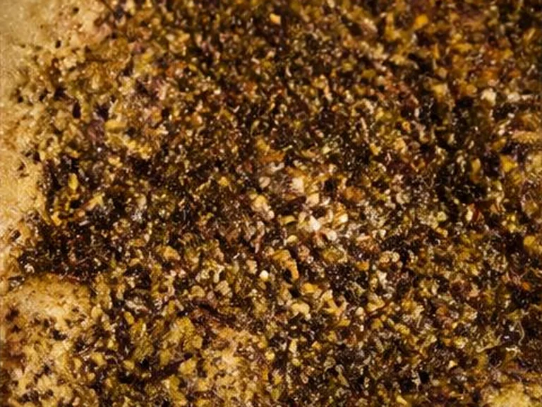 خبز بالزعتر — Zaatar Bread